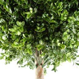 Leaf Buxus Ball Artificial Tree UV Resistant Outdoor Topiary 140cm Botanik in Green - thumbnail 2