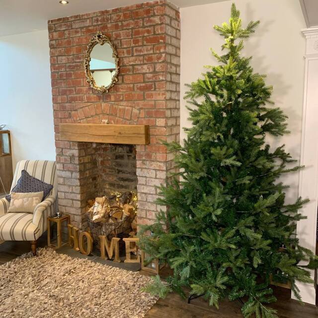 Samuel Alexander Everlands 240cm (8ft) Green Grandis Fir Real Look Christmas Tree 2935 Tips - image 1