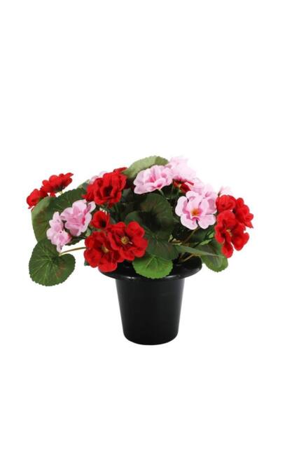 KDMD Essential Pink Red Geranium Remembrance Pot - image 1
