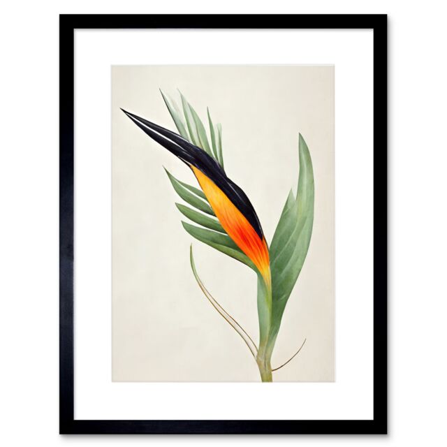 "Artery8 Wall Art Print Tropical Bird of Paradise Flower Gold Black Artwork Framed 9X7 Inch - Size: W7"" x H9""" - image 1