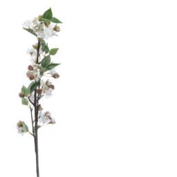 Hill Interiors Artificial English Blossom Branch in Dark Brown - thumbnail 2