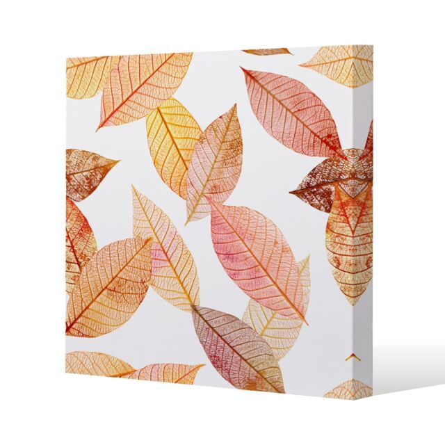 Benjamin Tate Design Autumn toned skeleton leaves (Canvas Print) / 90 x 90 x 4cm in Natural - Size: 90 x 90 x 4 cm - image 1