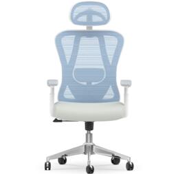 Ergonomic Mesh Office Chair High Back  with Adjustable Headrest, Armrests, Lumbar Support