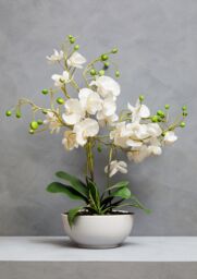 Orsina Fiori Artificial flowers Fiori White Orchid Plant - thumbnail 5