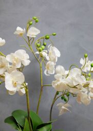Orsina Fiori Artificial flowers Fiori White Orchid Plant - thumbnail 4