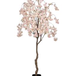 Wyld and Coco 190cm Pink Artificial Cherry Blossom Tree with Silk-Feel Flowers - thumbnail 2