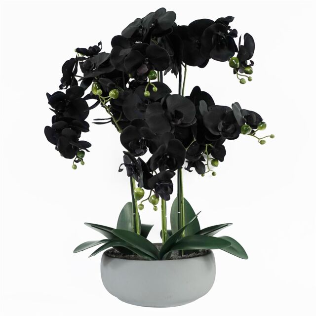 Leaf 60cm Orchid Artificial Black White Ceramic Planter in Green - image 1