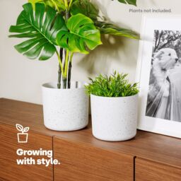 LIVIVO Indoor Plant Pots - Set of 2, Gardening Pot for All House Plants, Herbs & Foliage Plant - Ideal Home Decor Planter - 22cm in White - thumbnail 2
