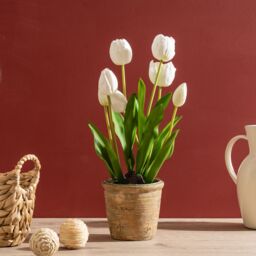 Scottish Everlastings Ltd 46cm Tulip Spray in Pot in Green - thumbnail 1