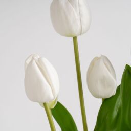 Scottish Everlastings Ltd 46cm Tulip Spray in Pot in Green - thumbnail 3