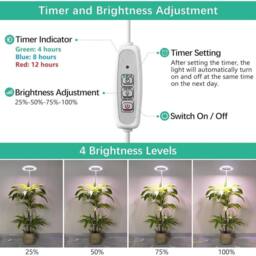 FLAVORA Large Halo Ring Full Spectrum LED Grow Light in White - Size: 100 cm x 100 cm - thumbnail 3