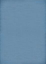 THE RUGS Reversible Weatherproof Outdoor Blue Rug Solid Urban 1000 - Size: 180 cm x 270 cm - thumbnail 2