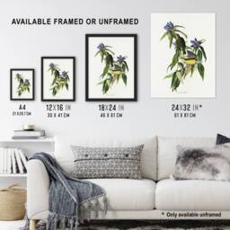 "Artery8 Connecticut Warbler Bird Audubon Nature Wall Art Print Poster in White - Size: W18"" x H24""" - thumbnail 3
