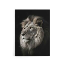 "Artery8 Strong Majestic Lion Head Photo Canvas Wall Art Print in Black - Size: W18"" x H24""" - thumbnail 1