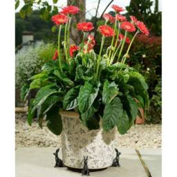 Jardinopia Large Sitting Hare Plant Pot Feet - Set of 3 in Bronze - thumbnail 4
