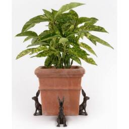Jardinopia Large Sitting Hare Plant Pot Feet - Set of 3 in Bronze - thumbnail 2
