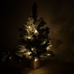 Samuel Alexander 2ft (60cm) Battery Operated Snow Flocked Mini Christmas Tree in Silver Pot with Warm White LEDs in Green - thumbnail 2