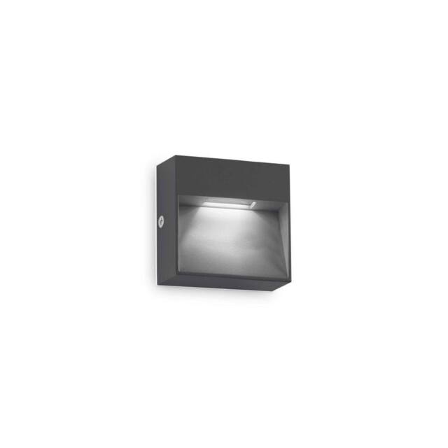 Netlighting Dedra Outdoor Square Flush Wall Lamp Anthracite 160Lm 3000K IP65 in Black