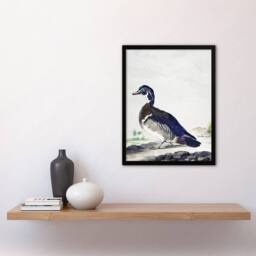 Artery8 Wood Duck Vintage Bird Oil Painting Schouman Framed Wall Art Print in White - Size: A4 - thumbnail 4