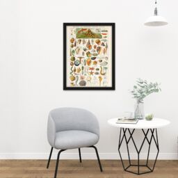 "Artery8 Wall Art Print Millot Encyclopedia Page Shells Molluscs Large Framed Wall Décor Art in Brown - Size: W18"" x H24""" - thumbnail 2