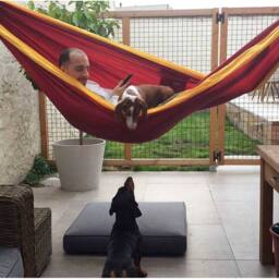 Ticket To The Moon King Size Hammock - Garden Hammock in Burgundy - thumbnail 5
