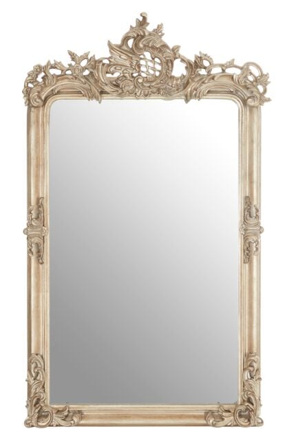 Orsina Silver Wall Mirror With Thick Moulded Frame, Hanging Mirror, Decorative Antique Wall Mirror With Foliage Motif - image 1