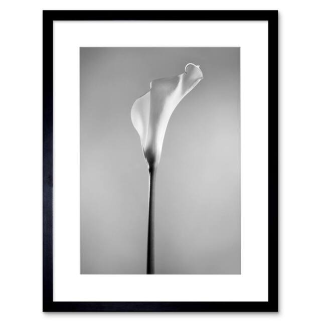 "Artery8 Flower Black & White Calla Lily Home Decor 12x16"" Framed Art Print in Grey - Size: W12"" x H16""" - image 1