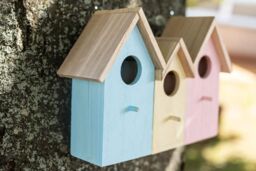 Marco Paul Pastel Colourful 3in1 Bird House Wooden Nesting Box - thumbnail 2
