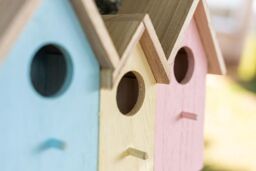 Marco Paul Pastel Colourful 3in1 Bird House Wooden Nesting Box - thumbnail 5