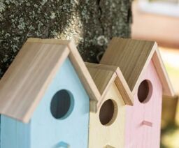 Marco Paul Pastel Colourful 3in1 Bird House Wooden Nesting Box - thumbnail 4