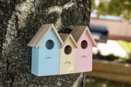 Marco Paul Pastel Colourful 3in1 Bird House Wooden Nesting Box - thumbnail 1