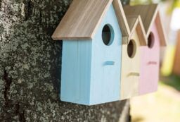 Marco Paul Pastel Colourful 3in1 Bird House Wooden Nesting Box - thumbnail 6