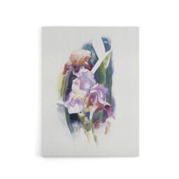 "Artery8 Purple Iris Flower Watercolour Demuth Canvas Wall Art Print in White - Size: W12"" x H16""" - thumbnail 1