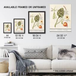 "Artery8 Artichoke Broad beans & Groundcherry de Boodt Wall Art Poster Print in White - Size: W18"" x H24""" - thumbnail 3