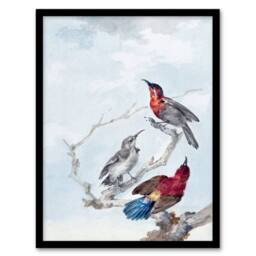 Artery8 Aert Schouman Framed Wall Art Three Crimson Sunbirds Watercolour in Blue - Size: A4 - thumbnail 1