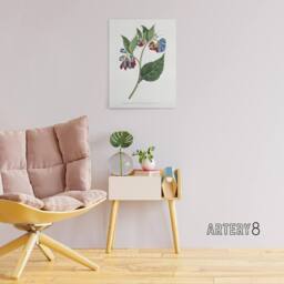"Artery8 Sansom Vintage Botanical Prickley Comfrey Flowers Canvas Art Print in White - Size: W12"" x H16""" - thumbnail 3