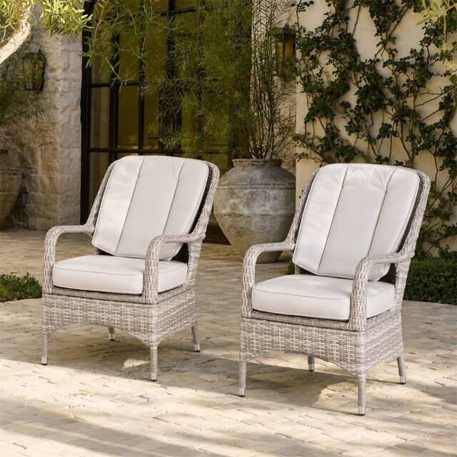 Direct Wicker 2-Piece Outdoor PE Rattan Dining Chairs in Warm White - Size: 1 Pack - image 1
