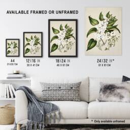 Artery8 Hibiscus & Saltmarsh Ribbonwood Flowers Featon Framed Wall Art Print in Beige - Size: A4 - thumbnail 3