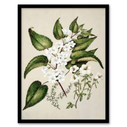Artery8 Hibiscus & Saltmarsh Ribbonwood Flowers Featon Framed Wall Art Print in Beige - Size: A4 - thumbnail 1
