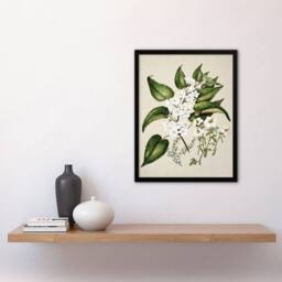 Artery8 Hibiscus & Saltmarsh Ribbonwood Flowers Featon Framed Wall Art Print in Beige - Size: A4 - thumbnail 4