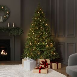Charles Bentley Luxury 6ft Pre-Lit Faux Nordic Spruce Hinged Christmas Tree in Green - thumbnail 2