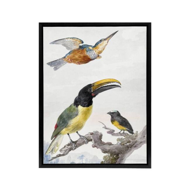 "Artery8 Kingfisher Toucan Bird & a Sparrow Schouman Framed Canvas Wall Art in White - Size: W12"" x H16""" - image 1