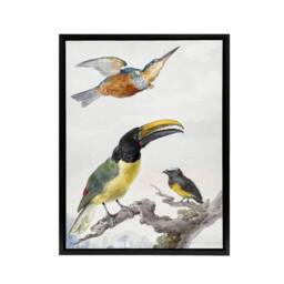 "Artery8 Kingfisher Toucan Bird & a Sparrow Schouman Framed Canvas Wall Art in White - Size: W12"" x H16""" - thumbnail 1