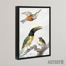 "Artery8 Kingfisher Toucan Bird & a Sparrow Schouman Framed Canvas Wall Art in White - Size: W12"" x H16""" - thumbnail 2