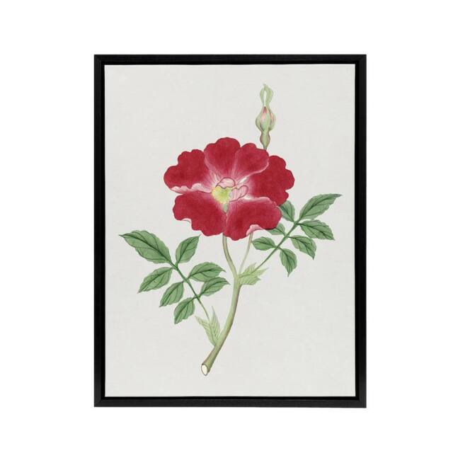 "Artery8 Red Flower Framed Canvas Wall Art Print Vintage Japanese Botanical - Size: W12"" x H16""" - image 1