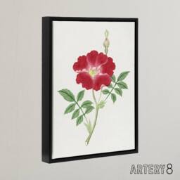 "Artery8 Red Flower Framed Canvas Wall Art Print Vintage Japanese Botanical - Size: W12"" x H16""" - thumbnail 2