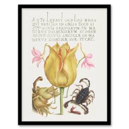Artery8 Larkspurs Tulip & Scorpion Calligraphy Framed Wall Art Print in White - Size: A4 - thumbnail 1