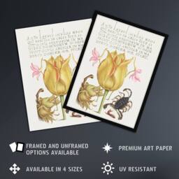 Artery8 Larkspurs Tulip & Scorpion Calligraphy Framed Wall Art Print in White - Size: A4 - thumbnail 2