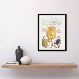 Artery8 Larkspurs Tulip & Scorpion Calligraphy Framed Wall Art Print in White - Size: A4 - thumbnail 4