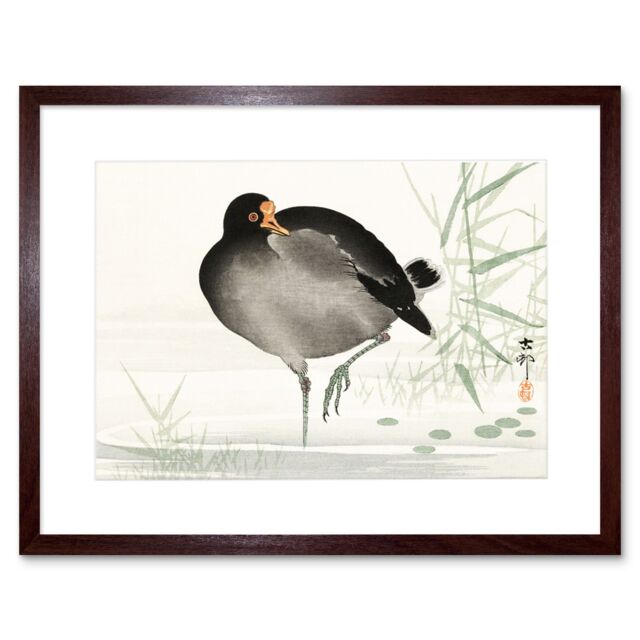 "Artery8 Wall Art Print Moorhen Bird Ohara Koson Art Framed 9x7 inch in Brown - Size: W7"" x H9""" - image 1